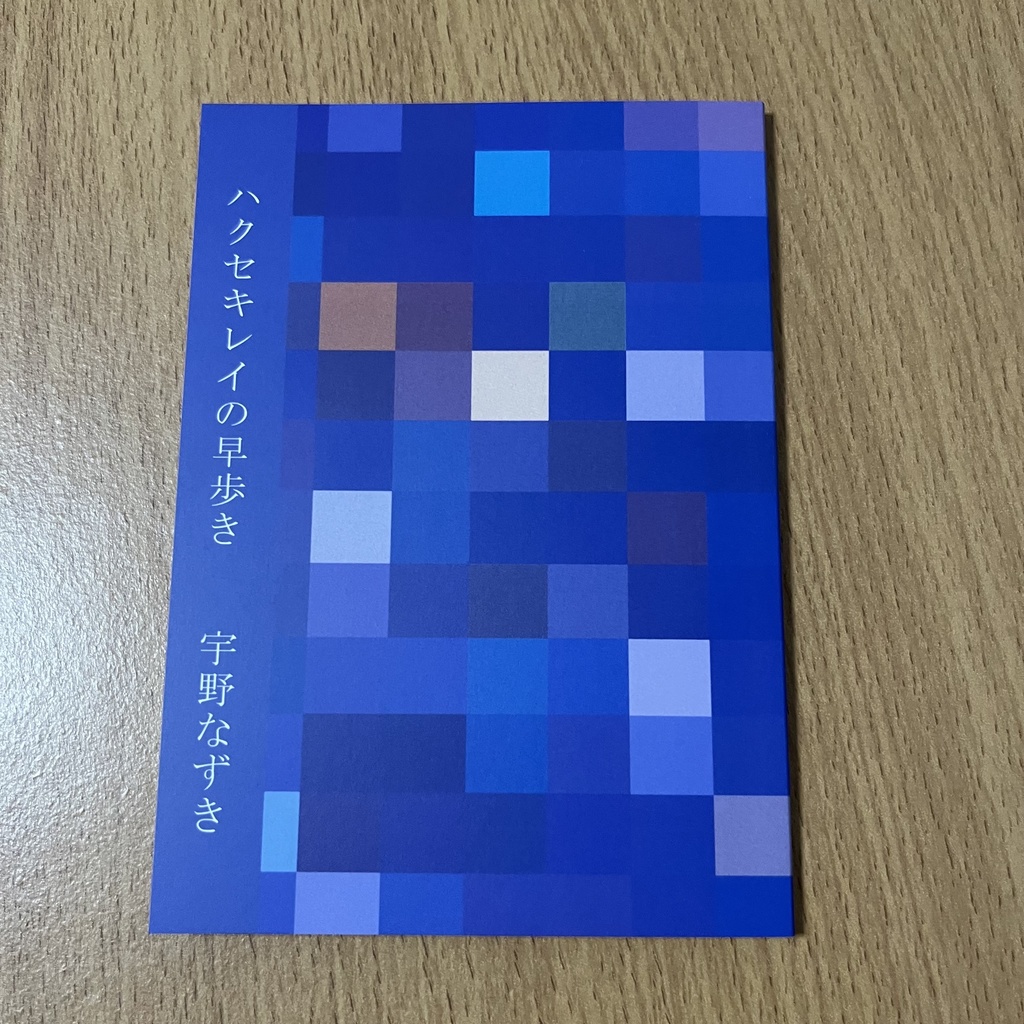 ハクセキレイの早歩き