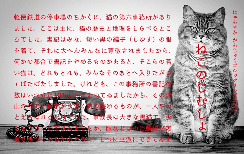 かんじゅくゴシック