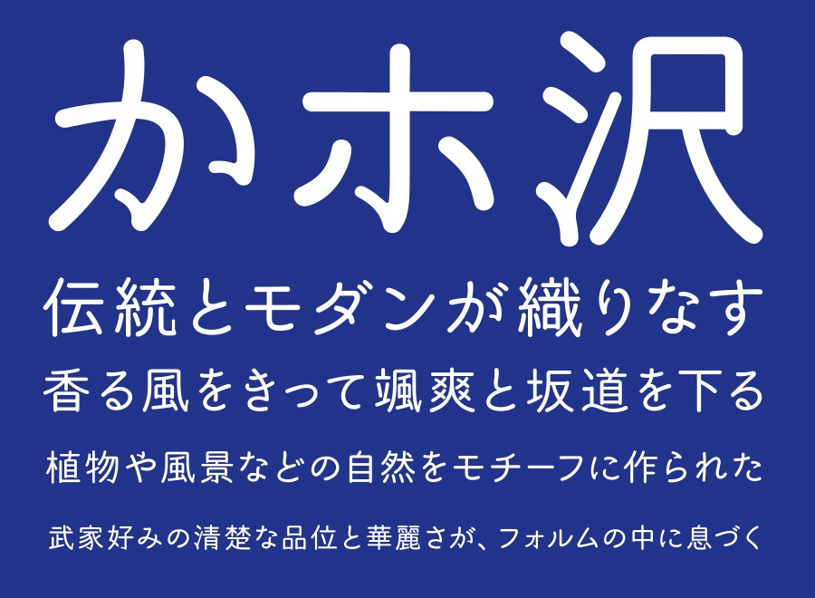かなざわ本丸ゴシック - 2フォントSET
