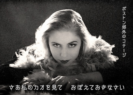 うずまさ本丸ゴシック - 5フォントSET