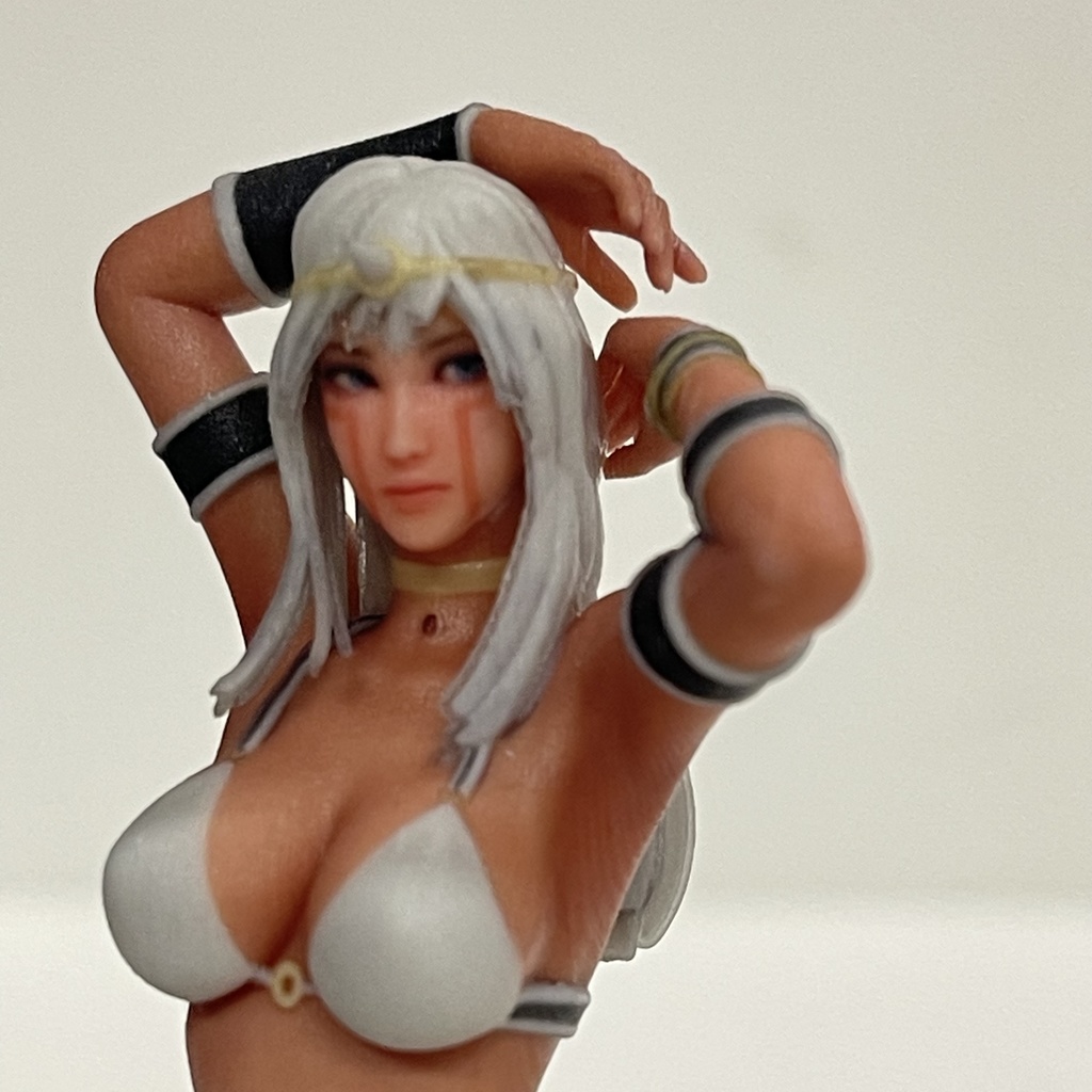 1/18 pw1 リアルフィギュア フィギュア 完成品 ミニチュアイメージ ミニカーに ジオラマに ドールハウスに フルカラー3Dプリンター