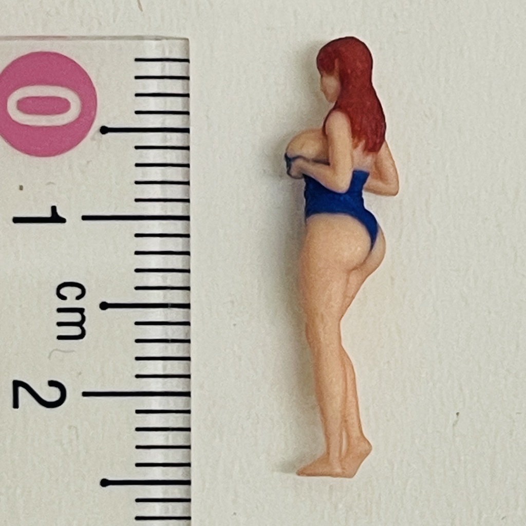 完成品 1/64 オーシャンコスモス 水着 フィギュア ミニカーに リアルフィギュア ジオラマに ミニチュアイメージ 3Dフィギュア