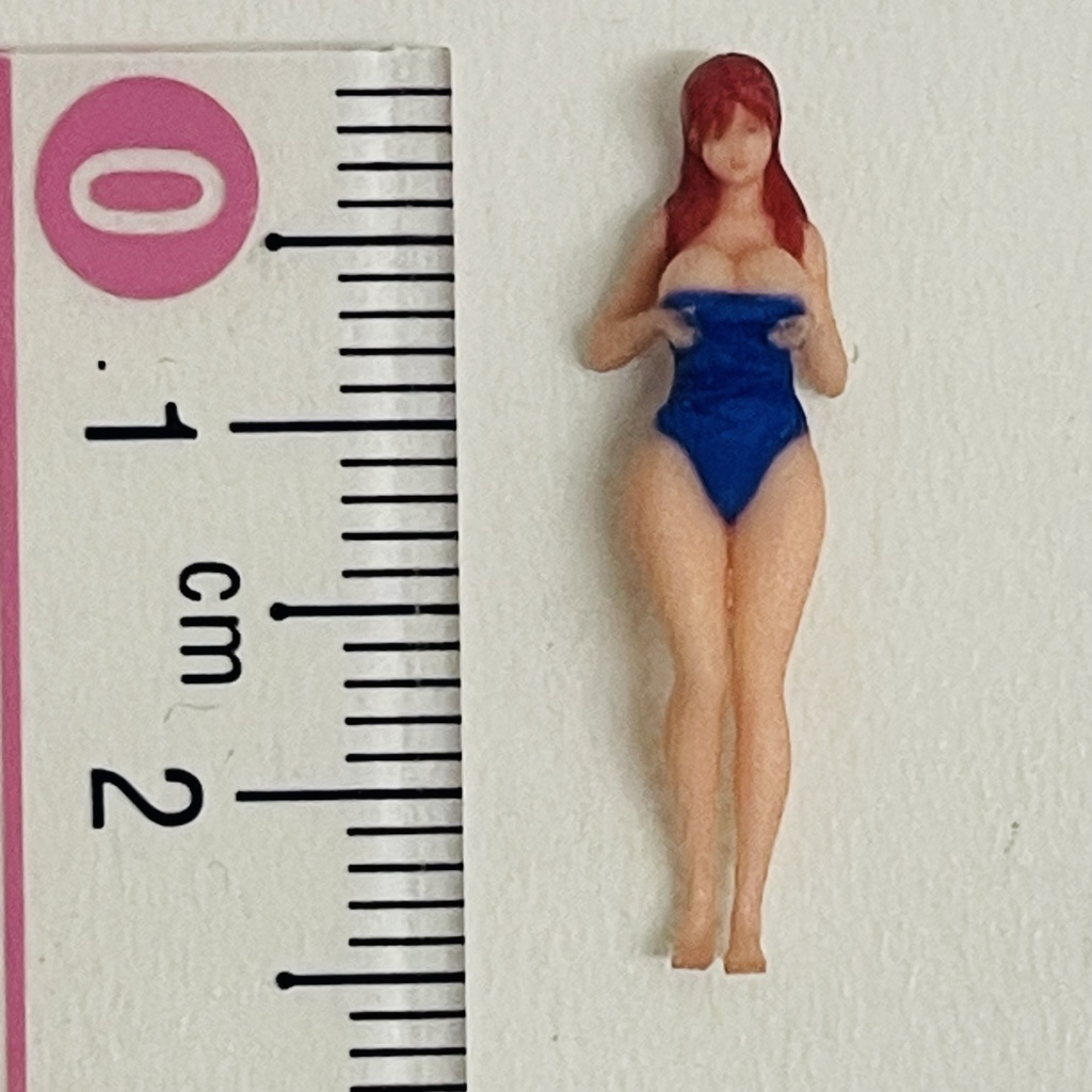 完成品 1/64 オーシャンコスモス 水着 フィギュア ミニカーに リアルフィギュア ジオラマに ミニチュアイメージ 3Dフィギュア