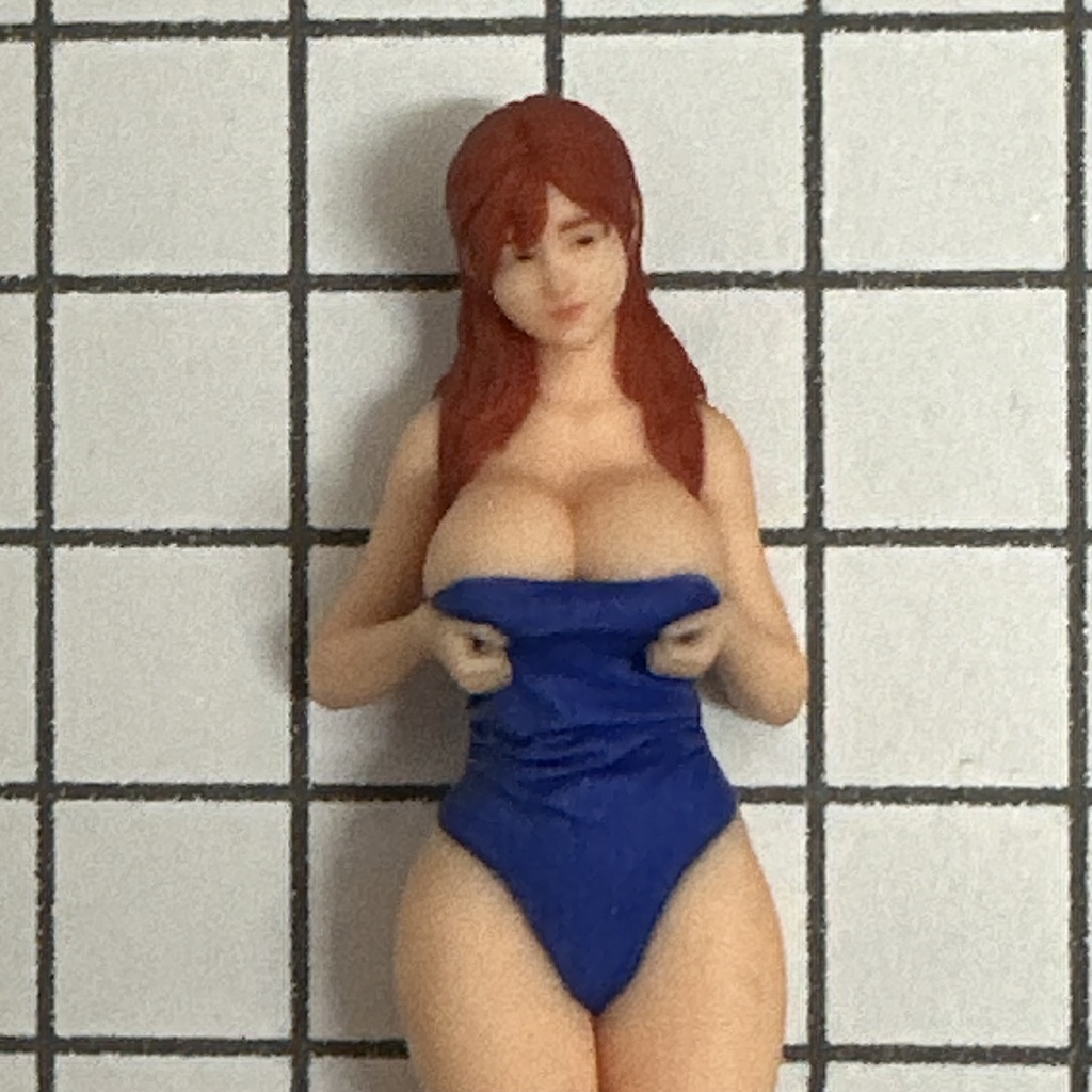 完成品 1/24 オーシャンコスモス スクール水着 フィギュア リアルフィギュア ミニカーに ドールハウスに ジオラマに ミニチュアイメージ