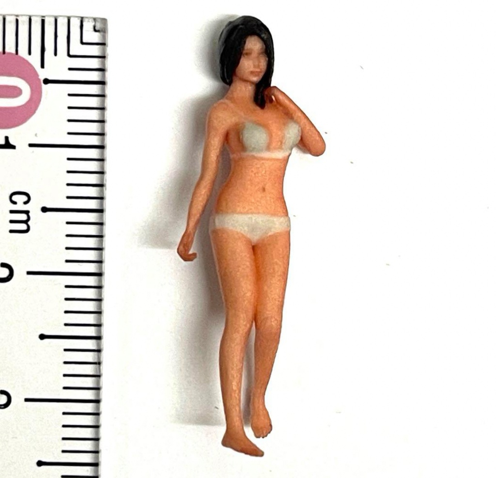 完成品 1/48 JK3 フィギュア リアルフィギュア ミニカーに ジオラマに ミニチュアイメージ 塗装済み完成品