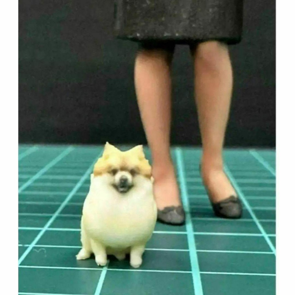 完成品 1/18 ポメラニアン 犬 フィギュア ミニチュア ミニカーに ジオラマに