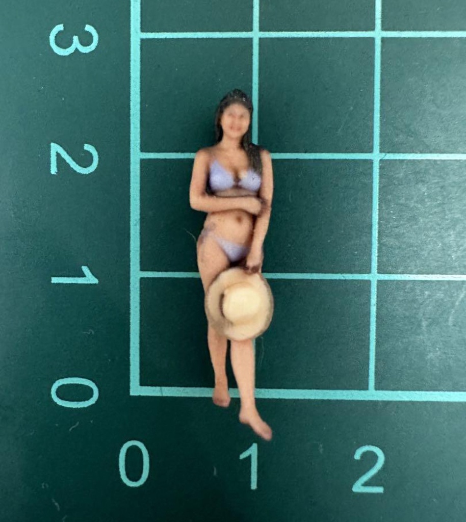 完成品 1/64 ヌミック 1170 フィギュア リアルフィギュア ミニカーに ジオラマに ミニチュアイメージ 3Dフィギュア ミニチュア