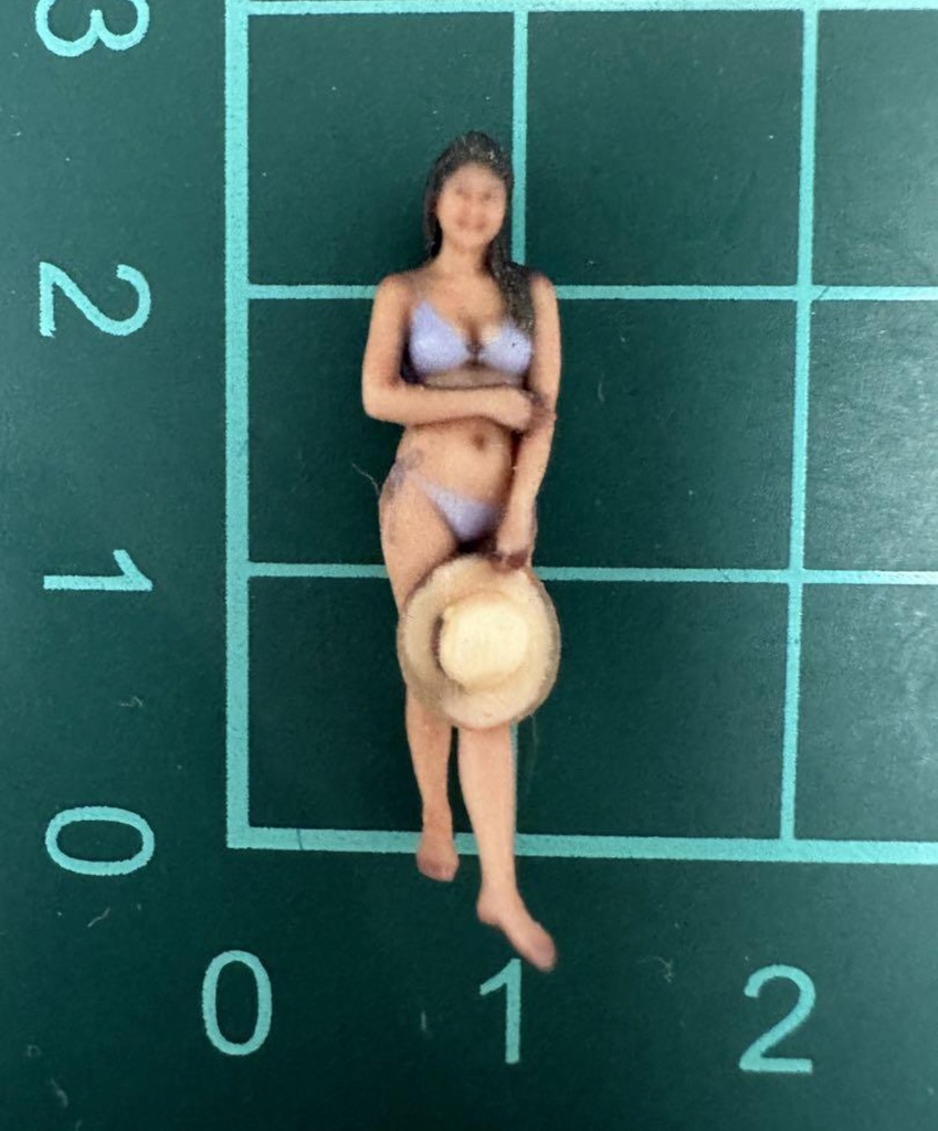 完成品 1/64 ヌミック 1170 フィギュア リアルフィギュア ミニカーに ジオラマに ミニチュアイメージ 3Dフィギュア ミニチュア