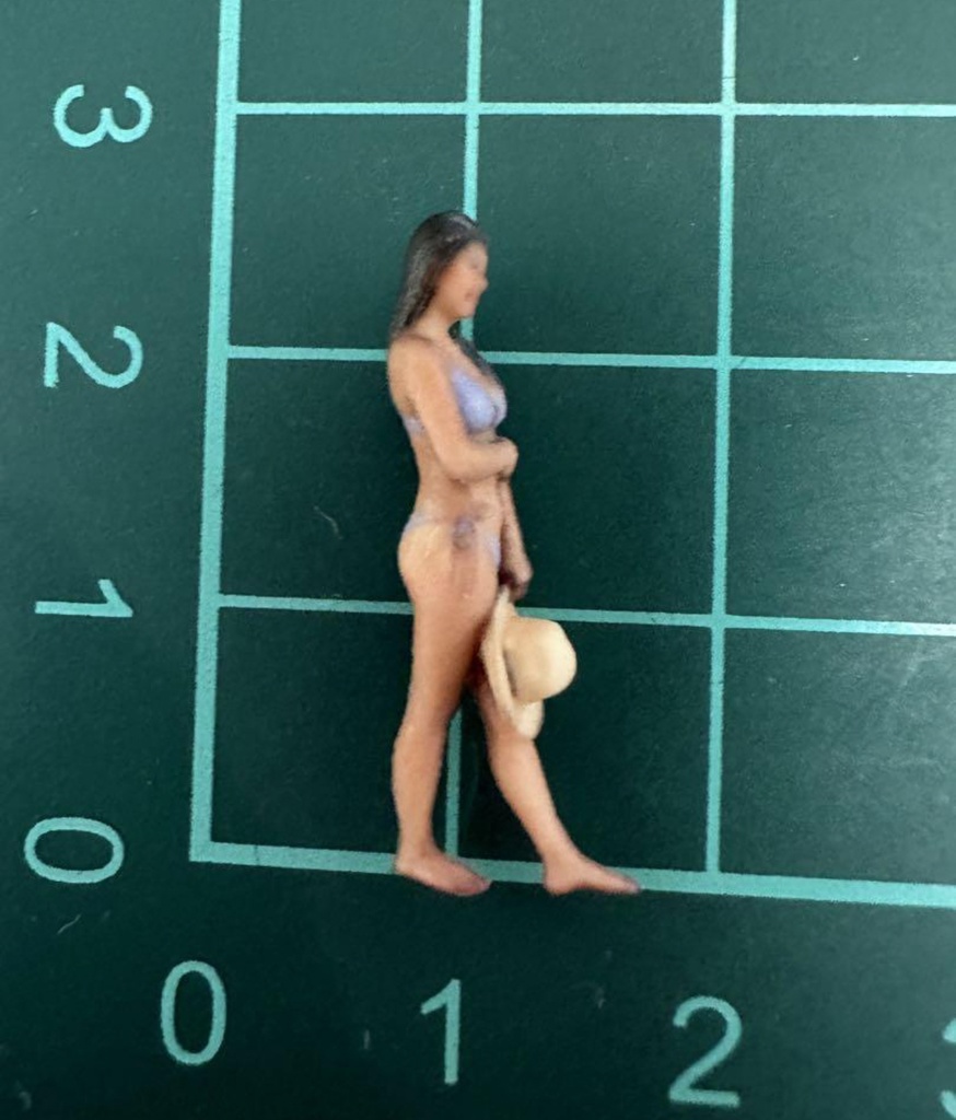 完成品 1/64 ヌミック 1170 フィギュア リアルフィギュア ミニカーに ジオラマに ミニチュアイメージ 3Dフィギュア ミニチュア