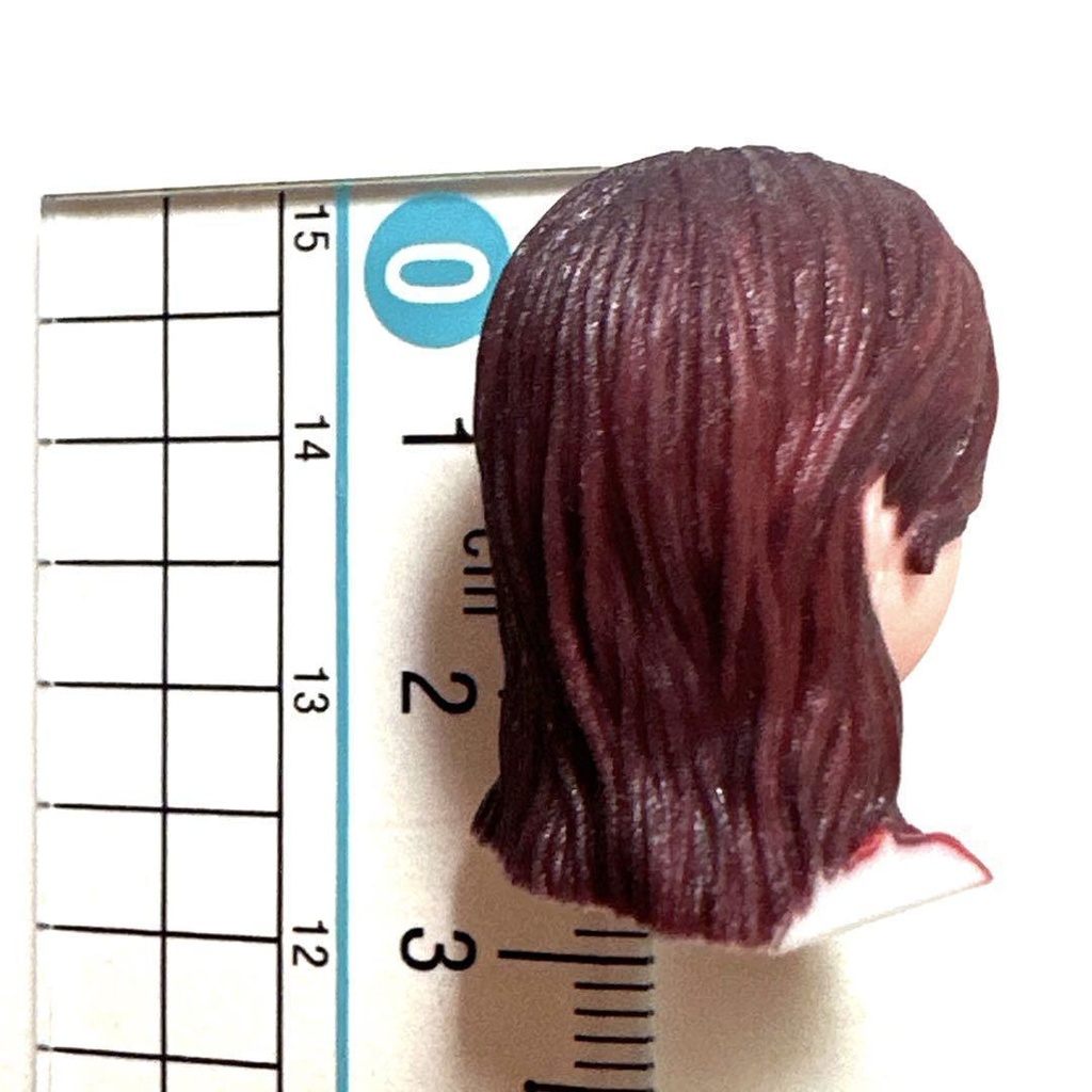 ヘッドのみ オーシャンコスモス レースクイーン フィギュア リアルフィギュア ミニチュアイメージ フルカラー 3D