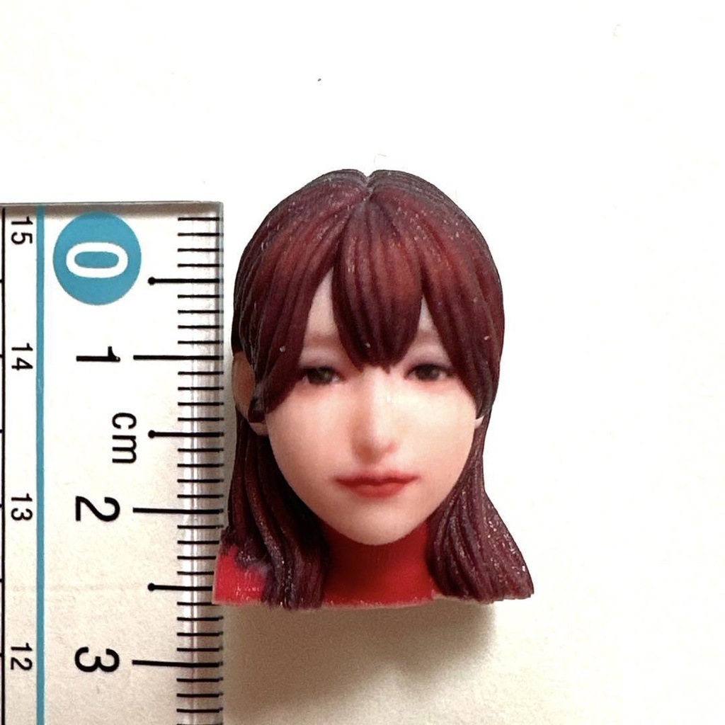 ヘッドのみ オーシャンコスモス レースクイーン フィギュア リアルフィギュア ミニチュアイメージ フルカラー 3D