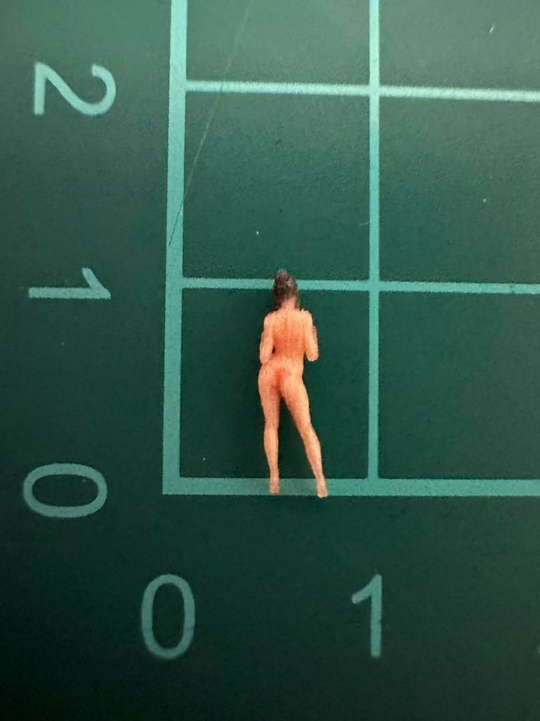 Nゲージ 1/150 JOY5 フィギュア リアルフィギュア 完成品 ミニチュアイメージ ミニチュア ジオラマ 鉄道模型 レイアウトに