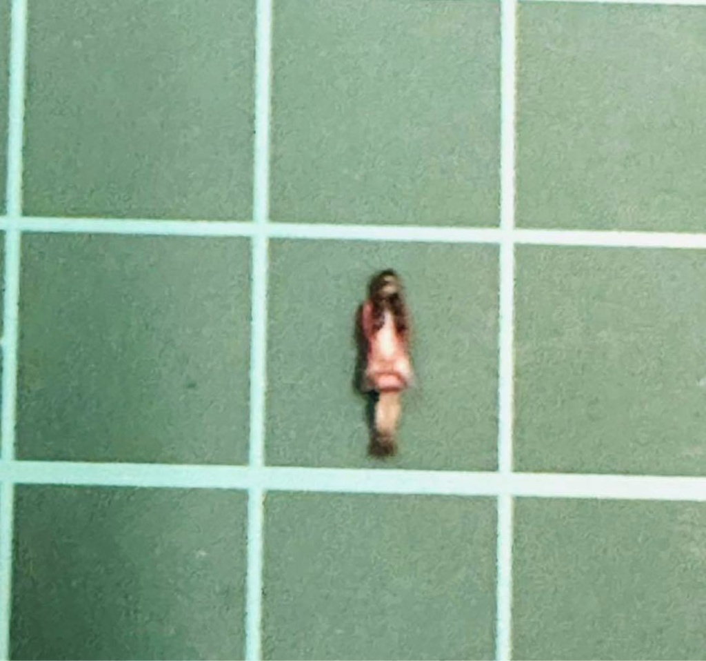 Zゲージ 71-2 フィギュア リアルフィギュア ミニチュアイメージ 鉄道模型 ジオラマ レイアウトに ミニチュア 完成品