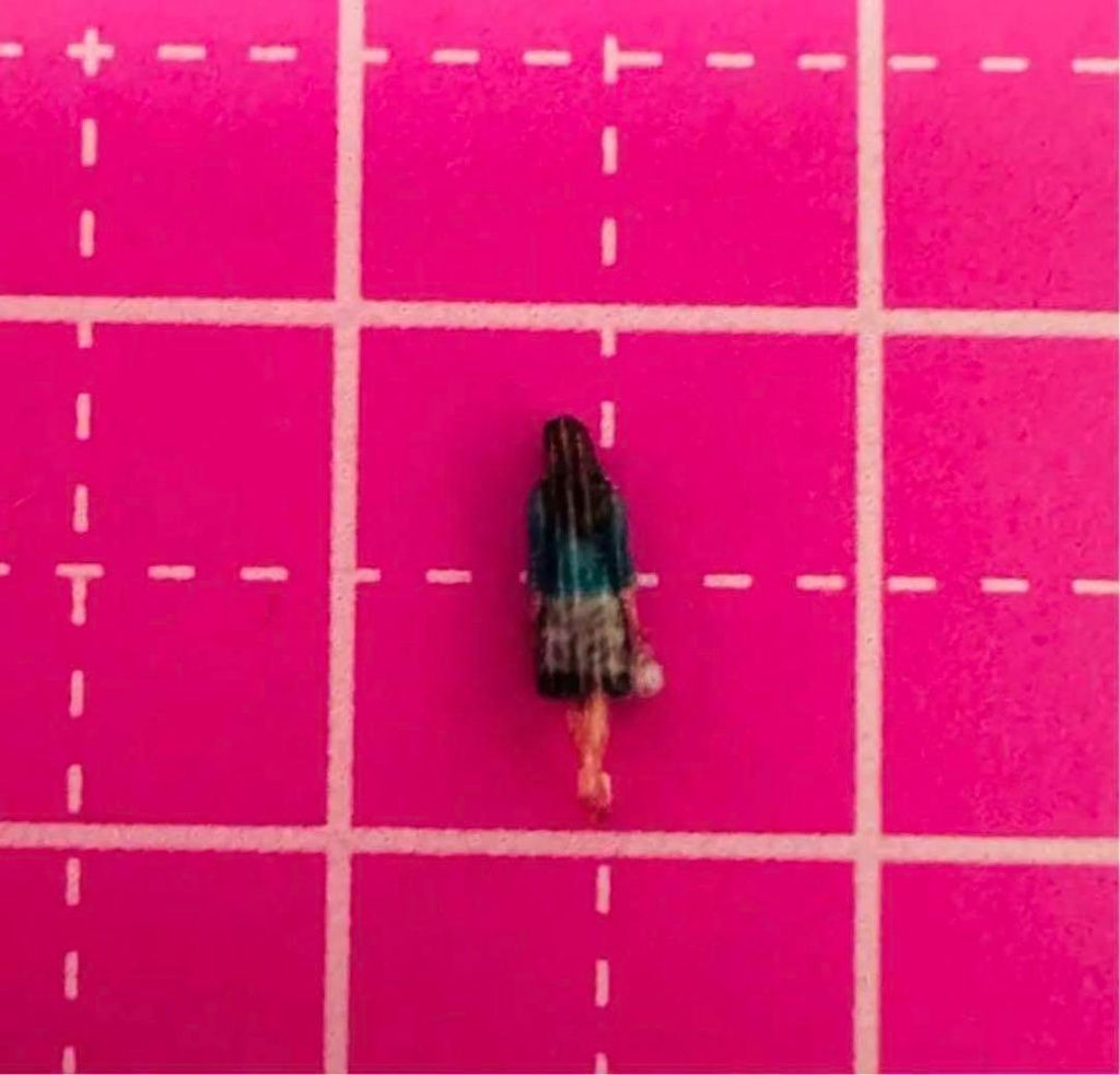 Zゲージ 57-1 フィギュア リアルフィギュア 完成品 鉄道模型 ジオラマ レイアウト ミニチュアイメージ 3D人物