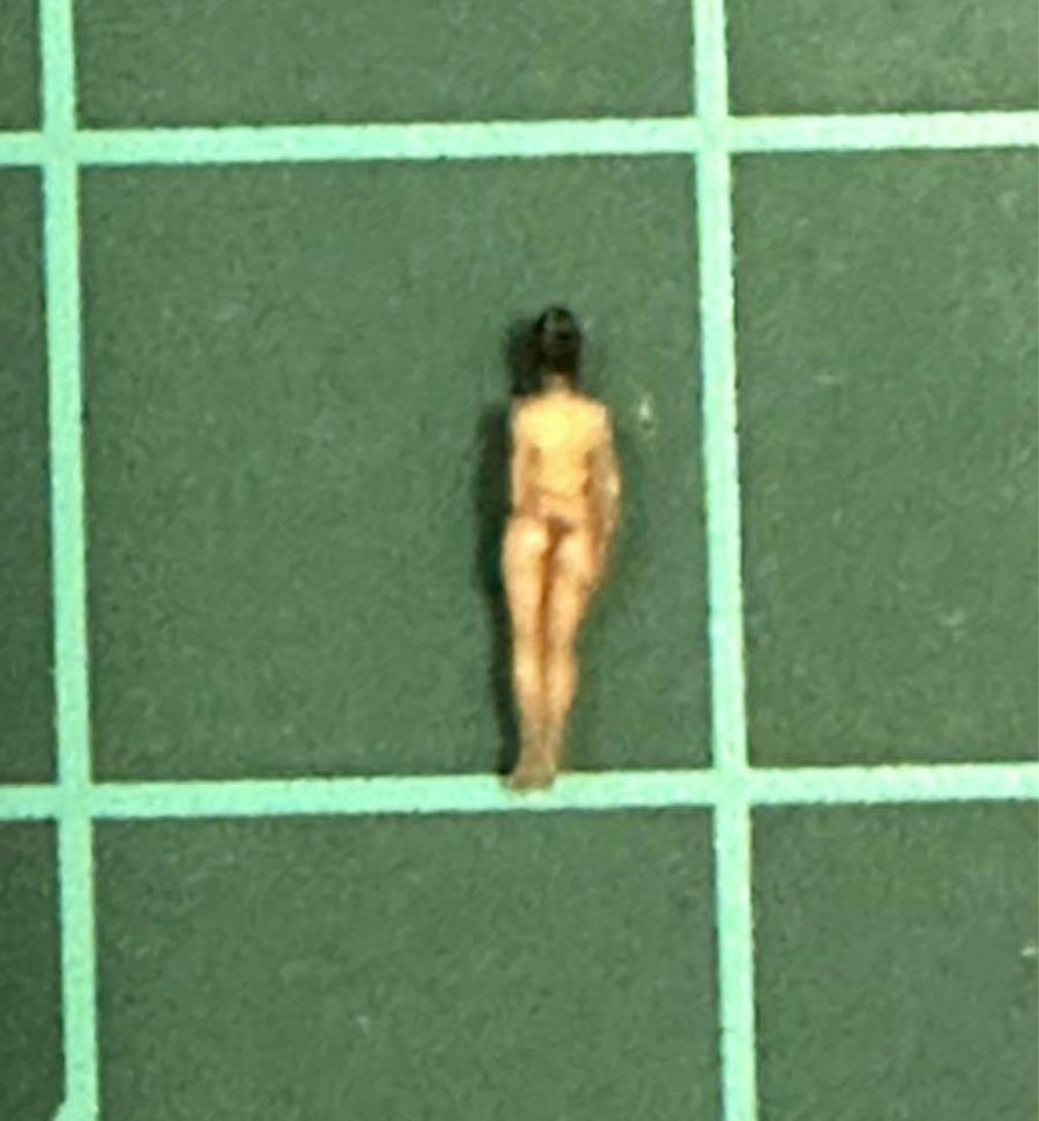 Zゲージ JOY2 フィギュア リアルフィギュア 完成品 ミニチュア ミニチュアイメージ 鉄道模型 ジオラマ レイアウト 3D人物