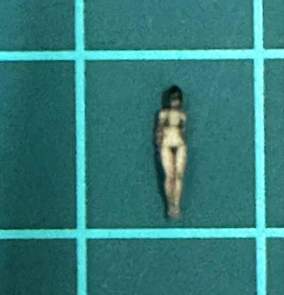 Zゲージ JOY2 フィギュア リアルフィギュア 完成品 ミニチュア ミニチュアイメージ 鉄道模型 ジオラマ レイアウト 3D人物