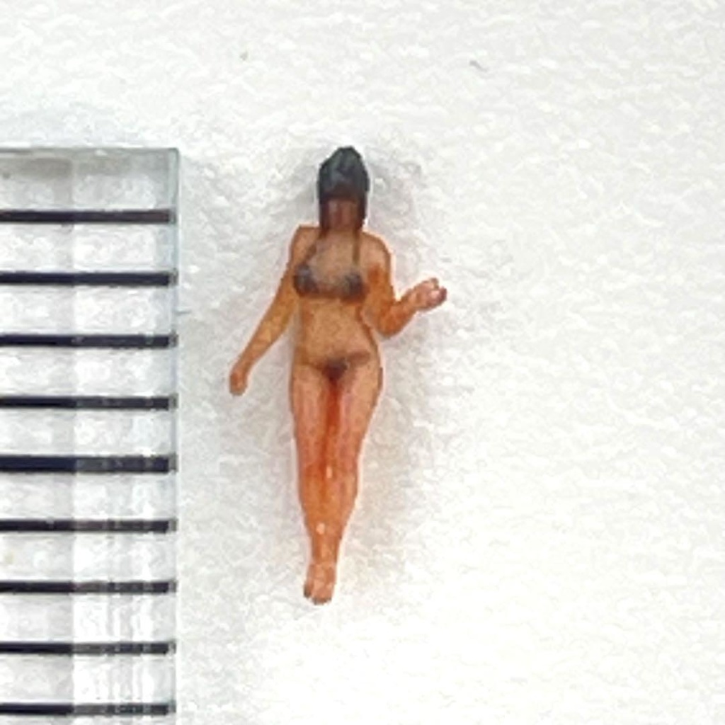 Zゲージ 1/220 JOY1 フィギュア リアルフィギュア ミニチュアイメージ 完成品 鉄道模型 ジオラマに レイアウトに