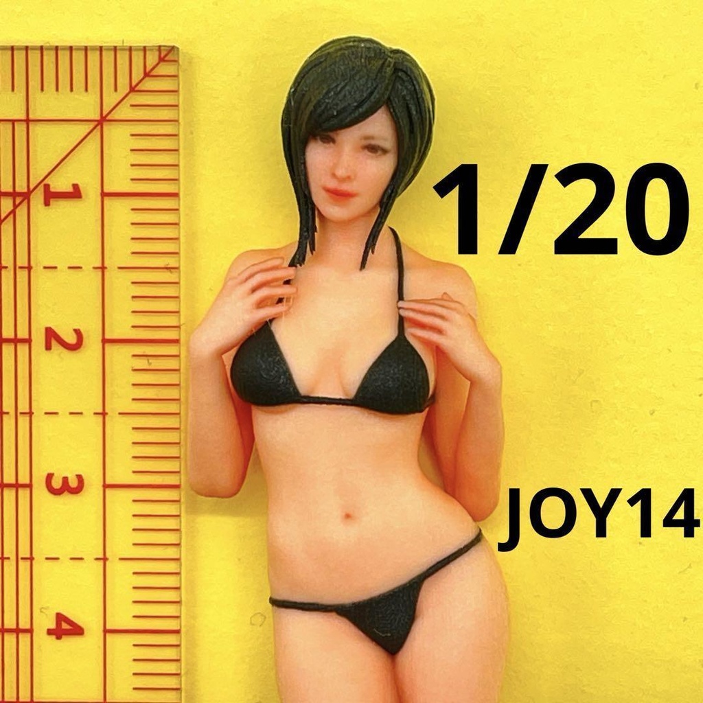1/20 JOY14 フィギュア　リアルフィギュア　完成品　ミニチュアイメージ　３D　