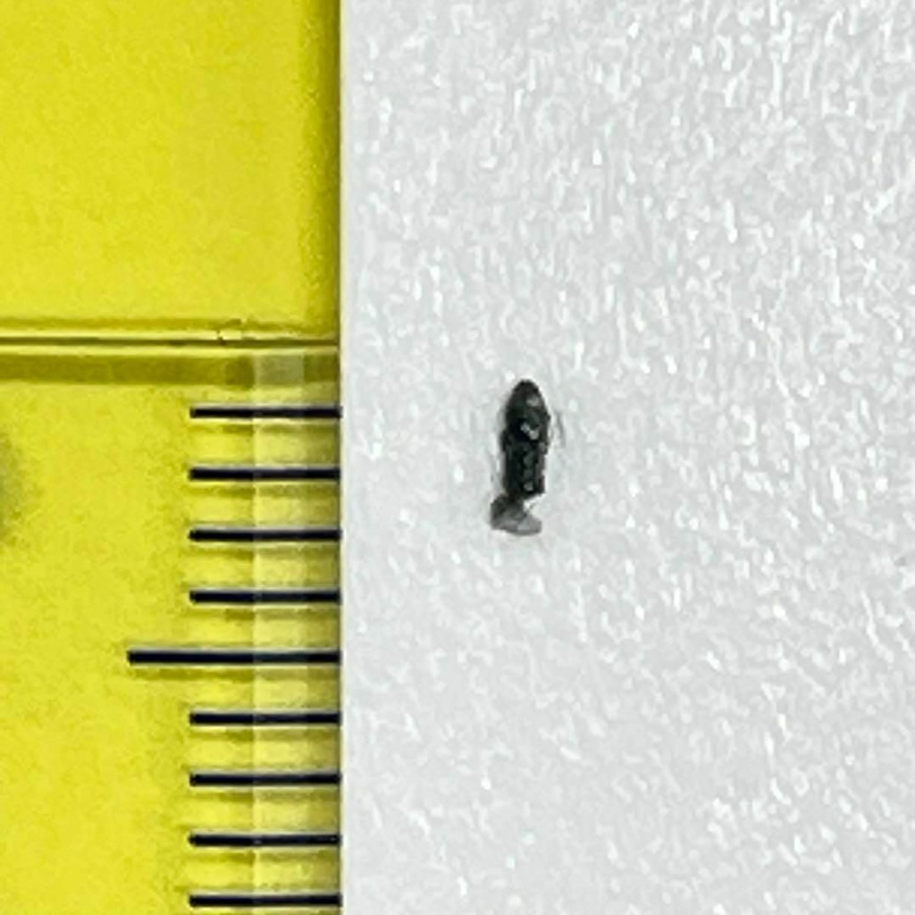 1/700 JKN-02 フィギュア リアルフィギュア 完成品 ミニチュアイメージ ジオラマ 3Dフィギュア