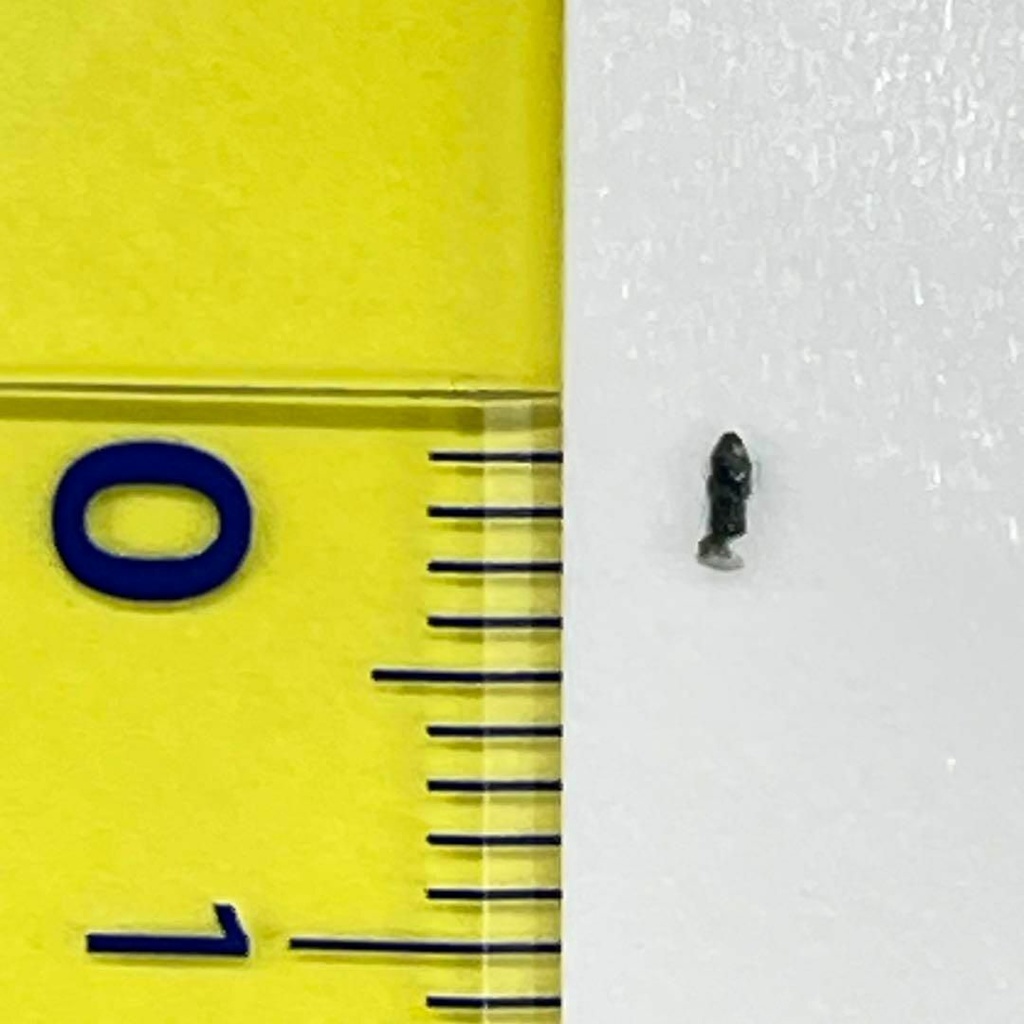 1/700 JKN-02 フィギュア リアルフィギュア 完成品 ミニチュアイメージ ジオラマ 3Dフィギュア