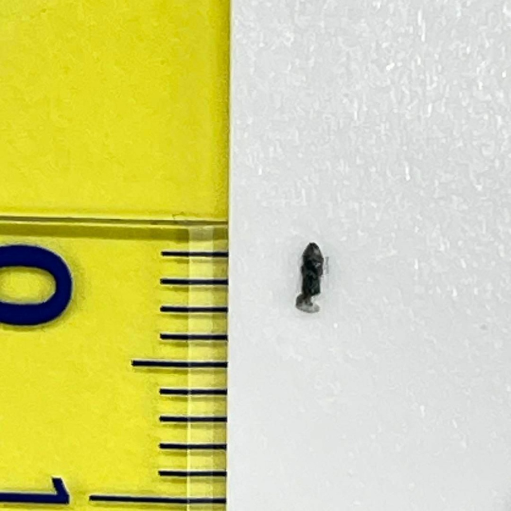 1/700 JKN-02 フィギュア リアルフィギュア 完成品 ミニチュアイメージ ジオラマ 3Dフィギュア