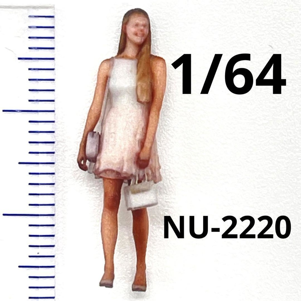 1/64 NU-2220 フィギュア リアルフィギュア ミニカーに ジオラマに ミニチュアイメージ 住宅模型に ミニチュア 3Dフィギュア