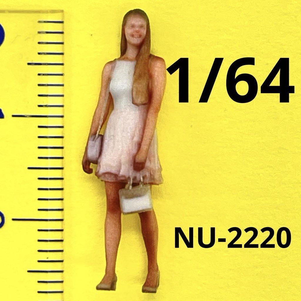 1/64 NU-2220 フィギュア　リアルフィギュア　ミニカーに　ジオラマに　ミニチュアイメージ　住宅模型に　ミニチュア　３Dフィギュア