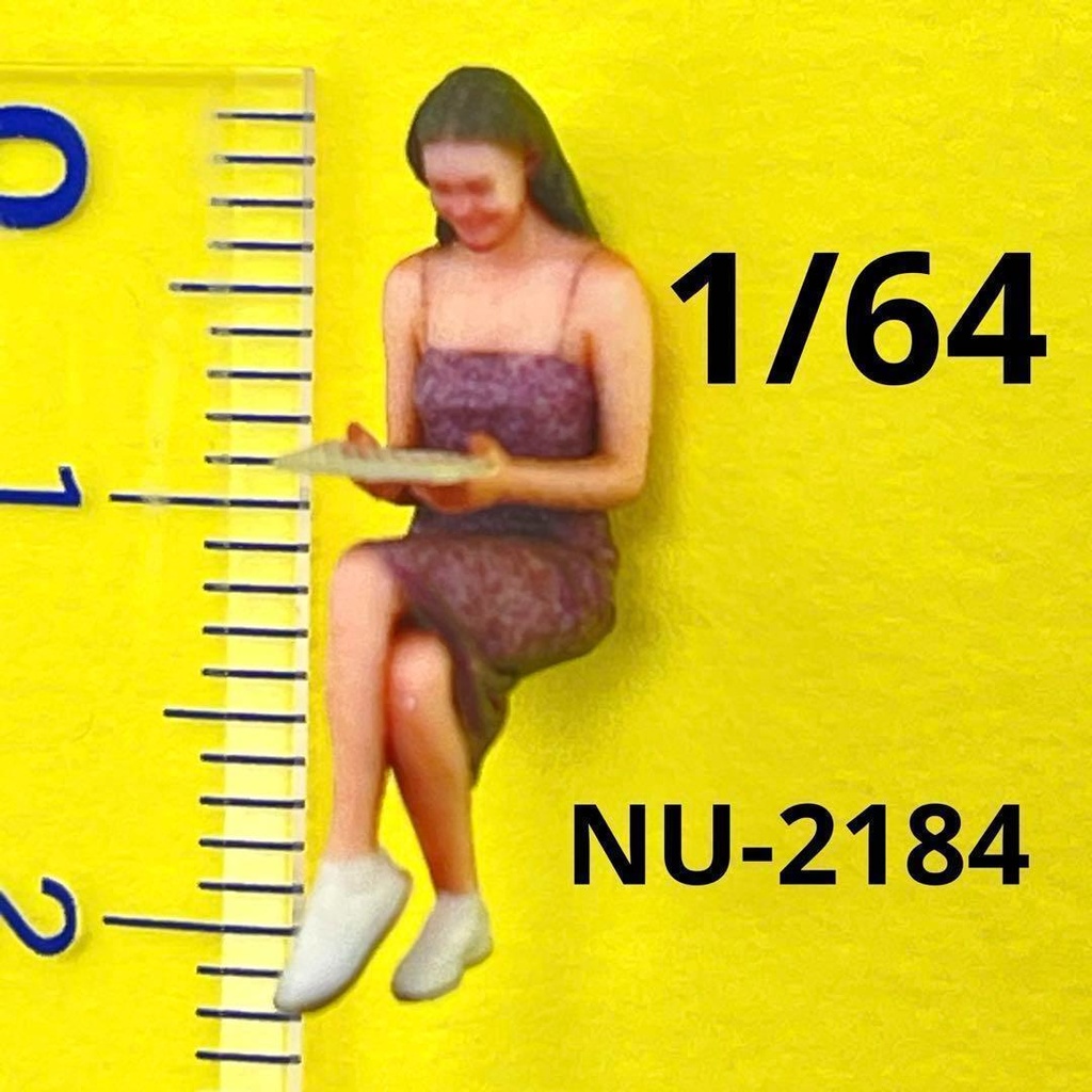 1/64 NU-2184 フィギュア　リアルフィギュア　完成品　ミニチュアイメージ　ミニチュア　ジオラマ　ミニカーに　３Ｄフィギュア
