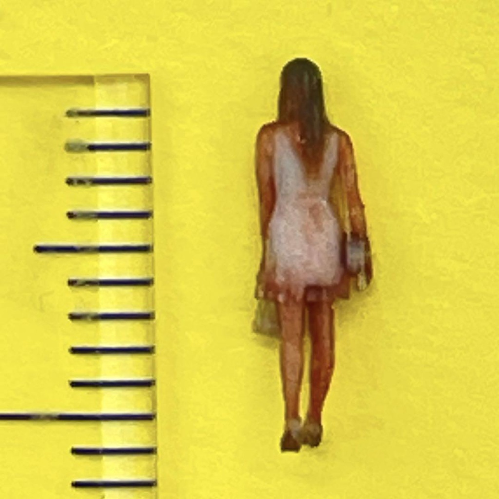 Nゲージ 1/150 NU-2220 フィギュア リアルフィギュア 完成品 鉄道模型 ジオラマ レイアウト ミニチュアイメージ 3D