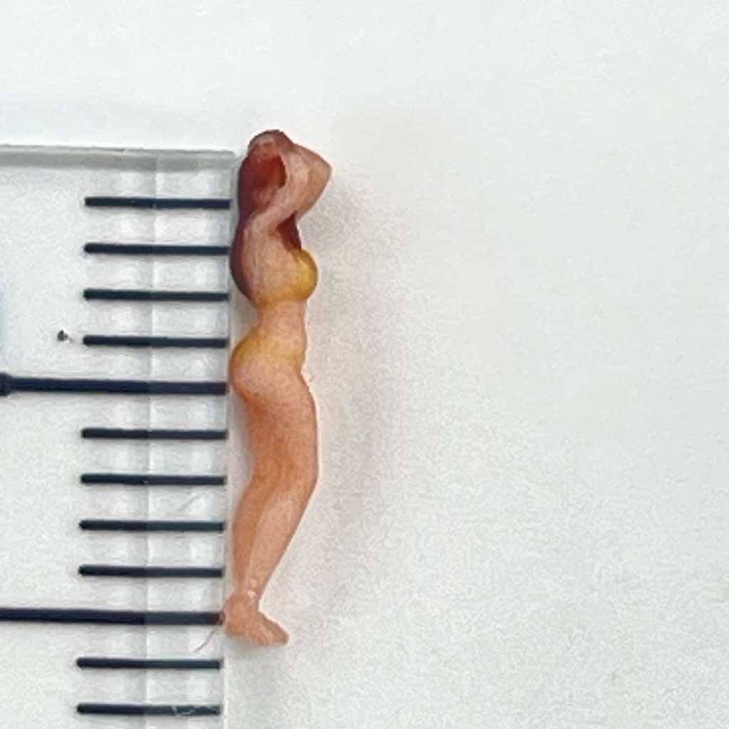 Nゲージ 1/150 OC-M0124 オーシャンコスモス フィギュア リアルフィギュア 完成品 正規品 ミニチュアイメージ リアルフィギュア ミニカー ジオラマに 3D人物 人物3D