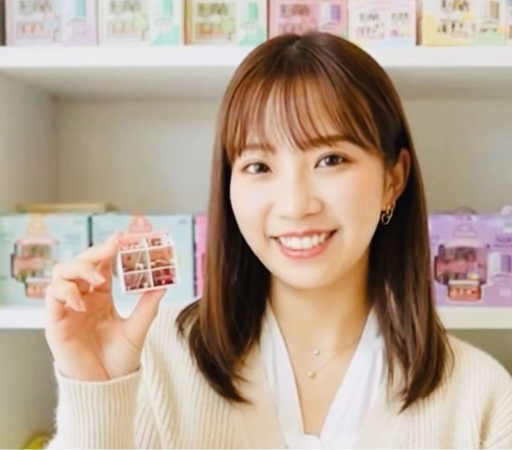 ミニチュア 3D ドールハウス 住宅模型 ジオラマ タイニーハウス リーメントに フィギュアに ジオラマ ミニチュアイメージ 建築模型 3D リカちゃん フィギュアに