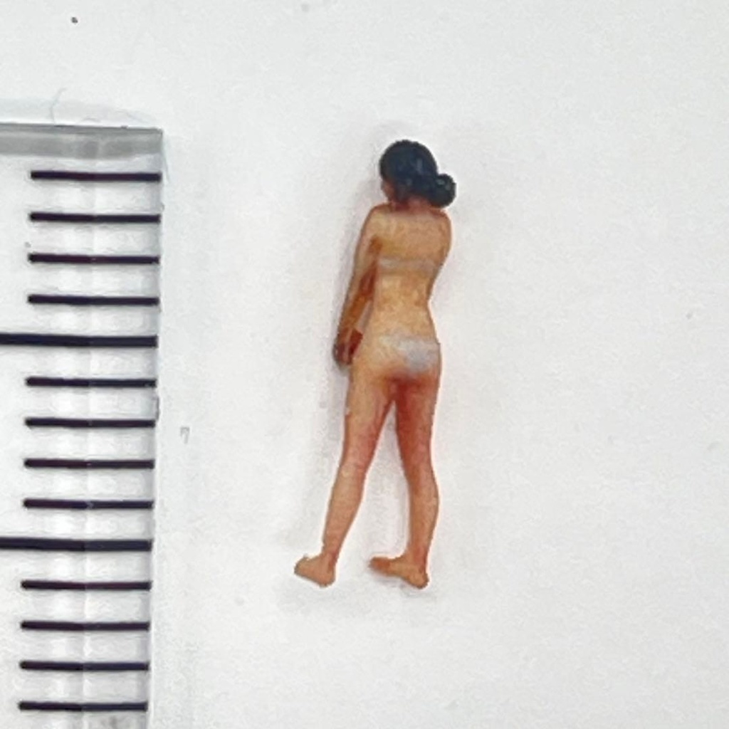 Nゲージ 3DA-X-SS-001 水着 フィギュア リアルフィギュア 鉄道模型 ジオラマ ミニチュア ミニチュアイメージ 3Dフィギュア