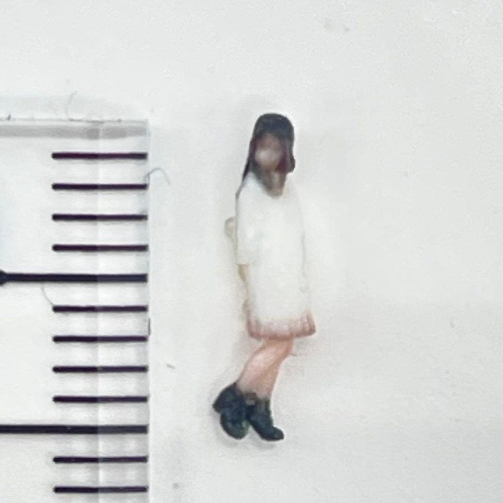 Nゲージ 3DA-X-PT-001 フィギュア 3Dフィギュア 鉄道模型 ジオラマ ミニチュアイメージ 完成品 白いコート