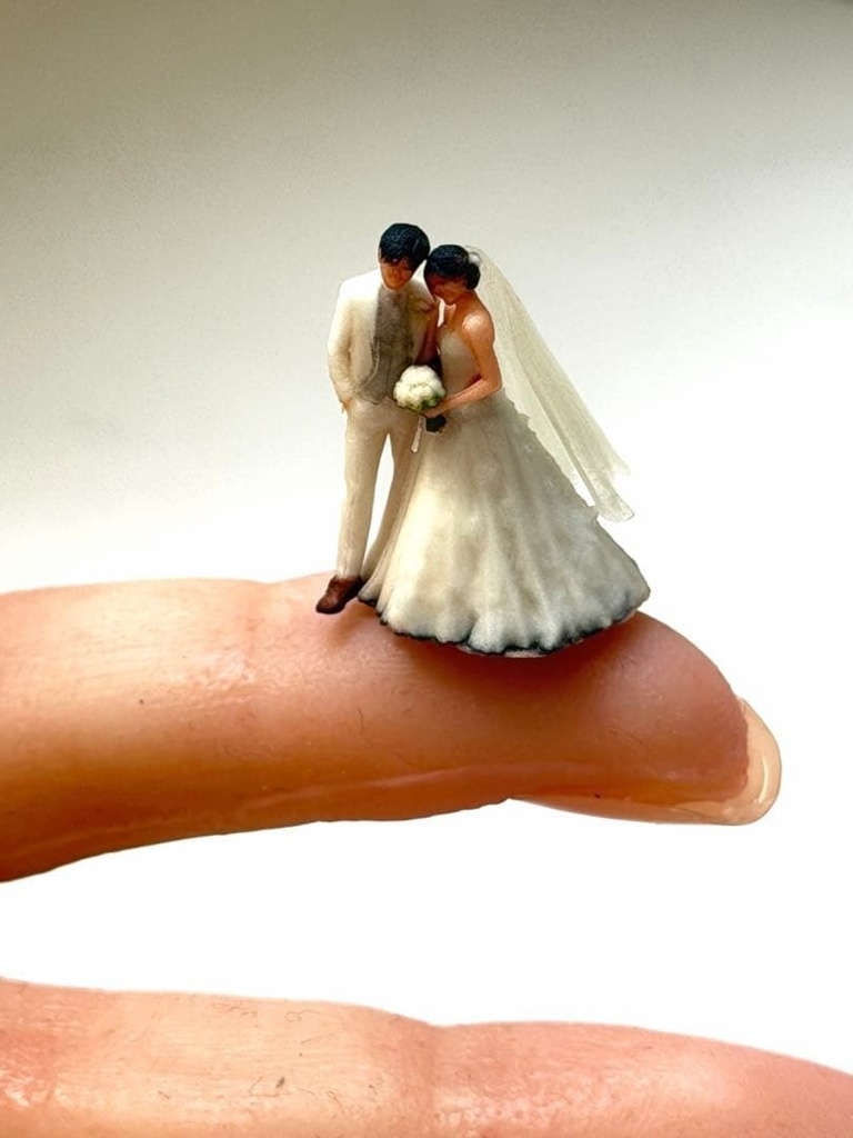 HOゲージ 1/80 結婚式 ウエディング フィギュア 鉄道模型 ジオラマ 精密 リアルフィギュア ミニチュアイメージ 3Dフィギュア