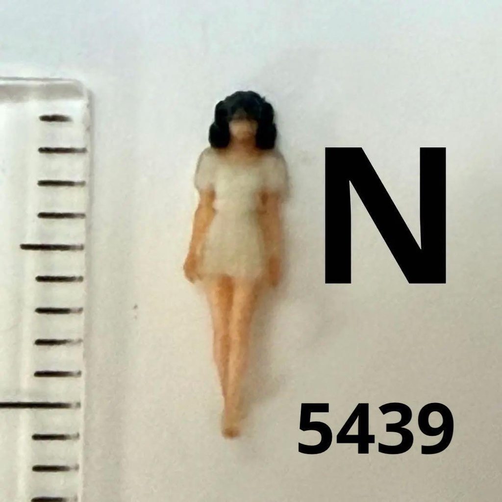 Nゲージ　５４３９　フィギュア　リアルフィギュア　完成品　鉄道模型　ジオラマ　レイアウト　ミニチュア　３Dフィギュア　ミニチュアイメージ