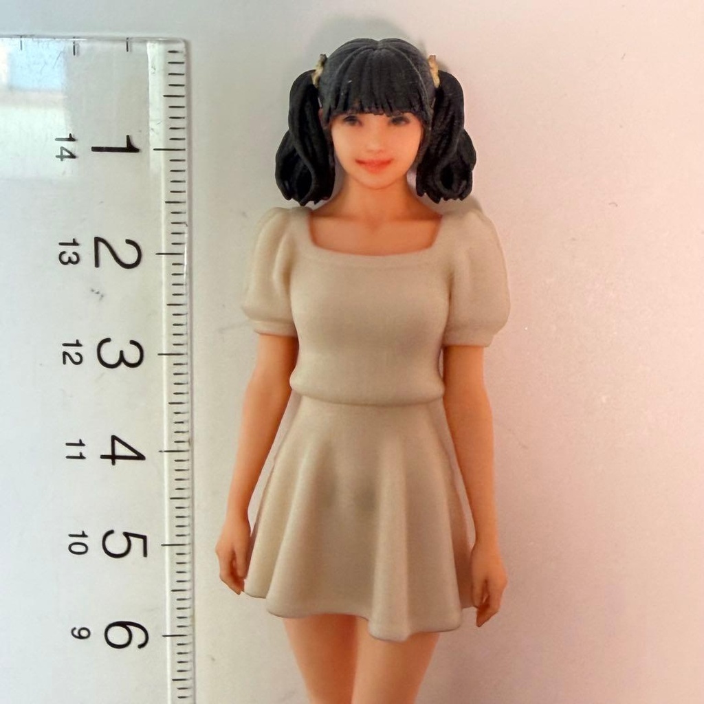 1/18 5439 フィギュア リアルフィギュア 完成品 ミニチュア ミニカー ドールハウス ジオラマに ミニチュアイメージ 3Dフィギュア