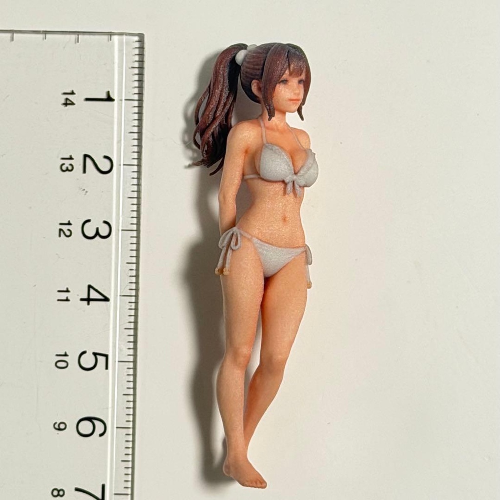 1/24 8011-02 フィギュア 完成品 リアルフィギュア ミニチュアイメージ ミニカーに ジオラマに ドールハウスに