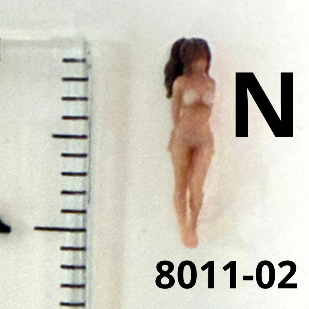 Nゲージ 1/150 8011-02 フィギュア 水着 リアルフィギュア 完成品 鉄道模型 ジオラマ 3Dフィギュア レイアウト ミニチュア