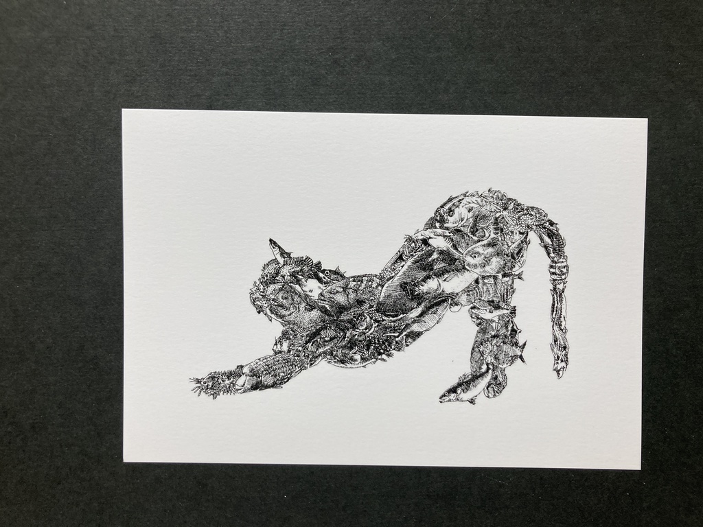 ペン画 ポストカード
