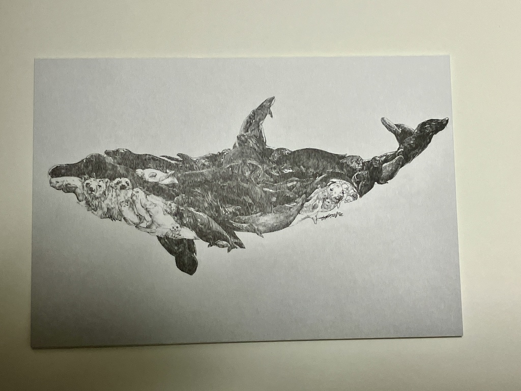 ポストカード 全6種