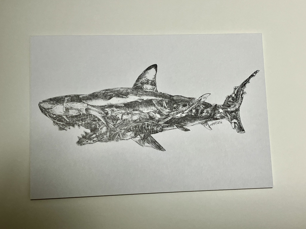 ポストカード 全6種