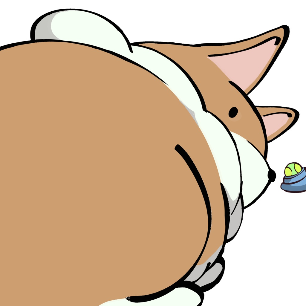 犬トランジション2