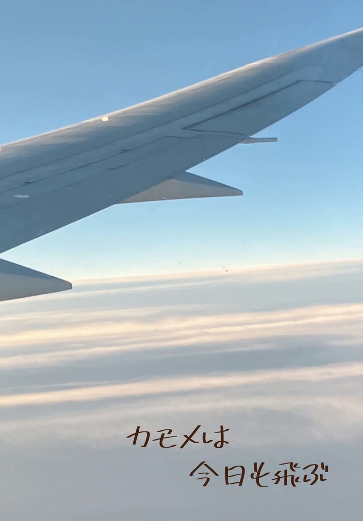カモメは今日も飛ぶ