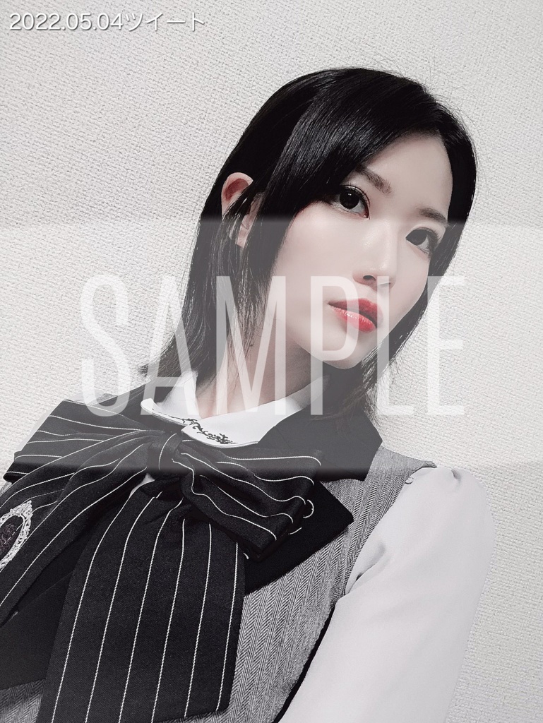 【SNSシリーズ】L判 高画質公式ブロマイド 6月