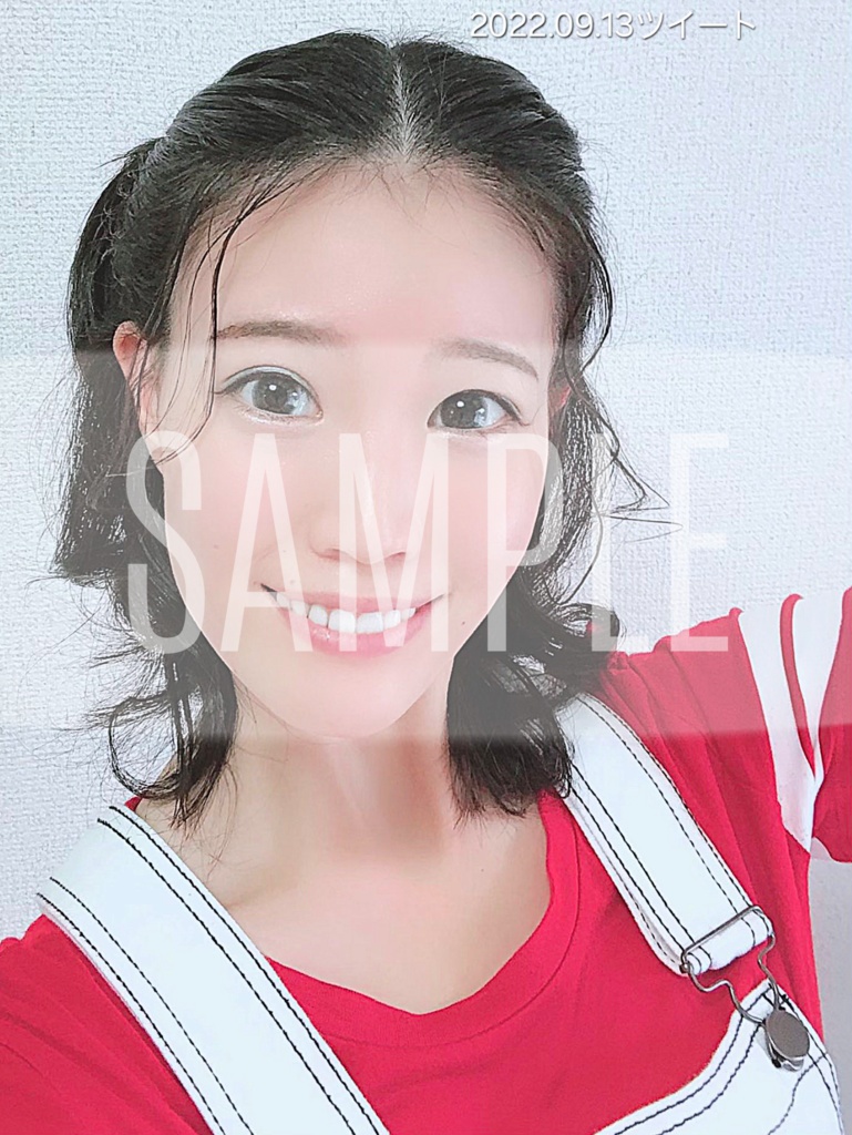 【SNSシリーズ】L判 高画質公式ブロマイド 9月