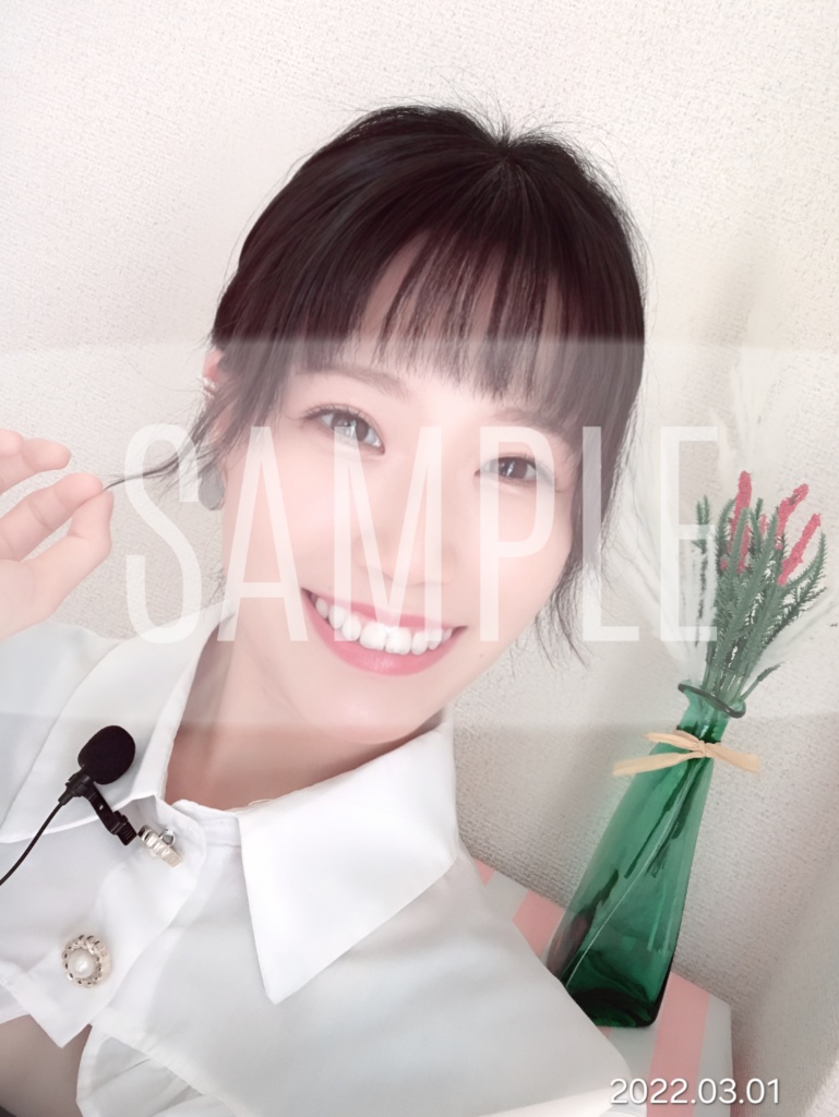 【SNSシリーズ】 高画質公式ブロマイド 2月