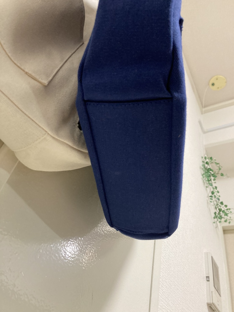 普段使いできるラージリングバッグ(帆布) ブルー