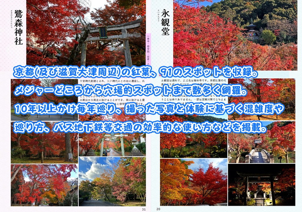 京都紅葉巡り91Guide