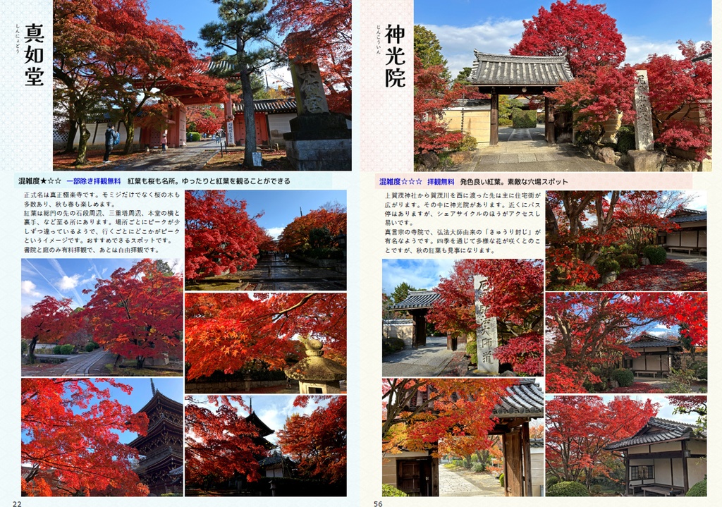 京都紅葉巡り91Guide