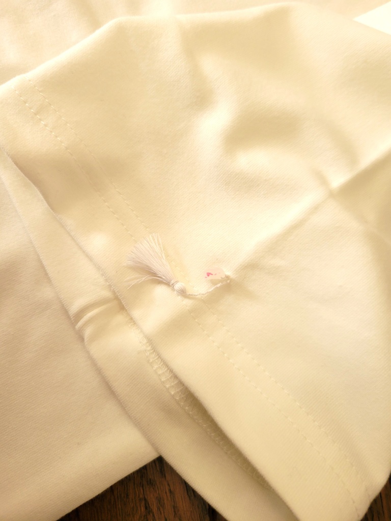 ビッグシルエットTシャツ💓白ペガサス🦄【あんしんBOOTHパック】コンパクト